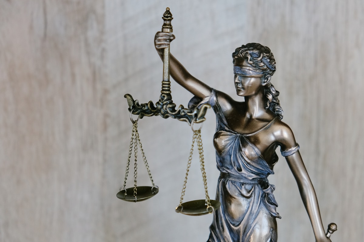 Legal expertise and regulatory knowledge